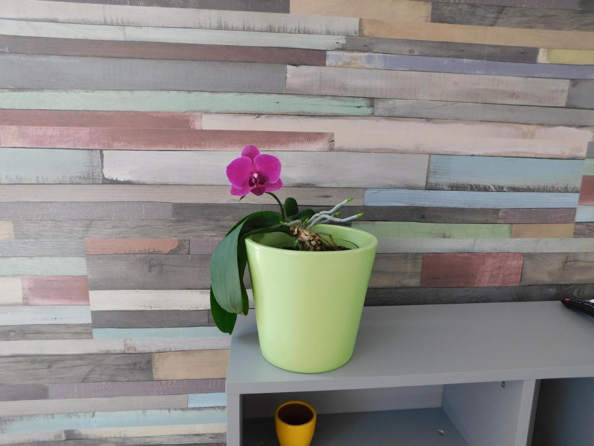 Tina Apartman Prnjavor Dış mekan fotoğraf